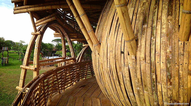 africa_afrique_forêt_forest_deforestation_sustainable__wood_bois_culture_agriculture_asia_asie_china_chine_india_inde_vietnam_laos_bali_development_architecture_house_moso_bambou_bamboo_bambu_bambusa_développement_durable_cop_21